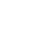 LinkedIn Icon
